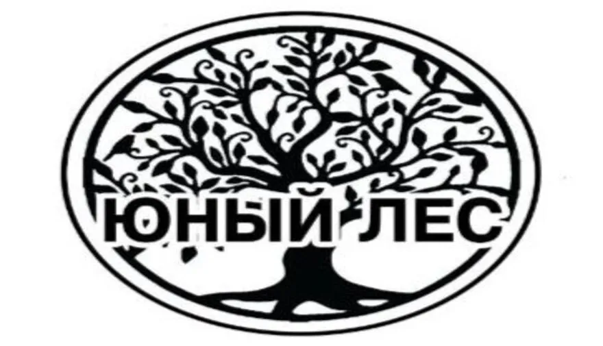 Купить лиственницу